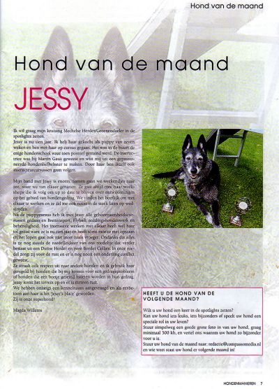 Hond van de maand: Jessy